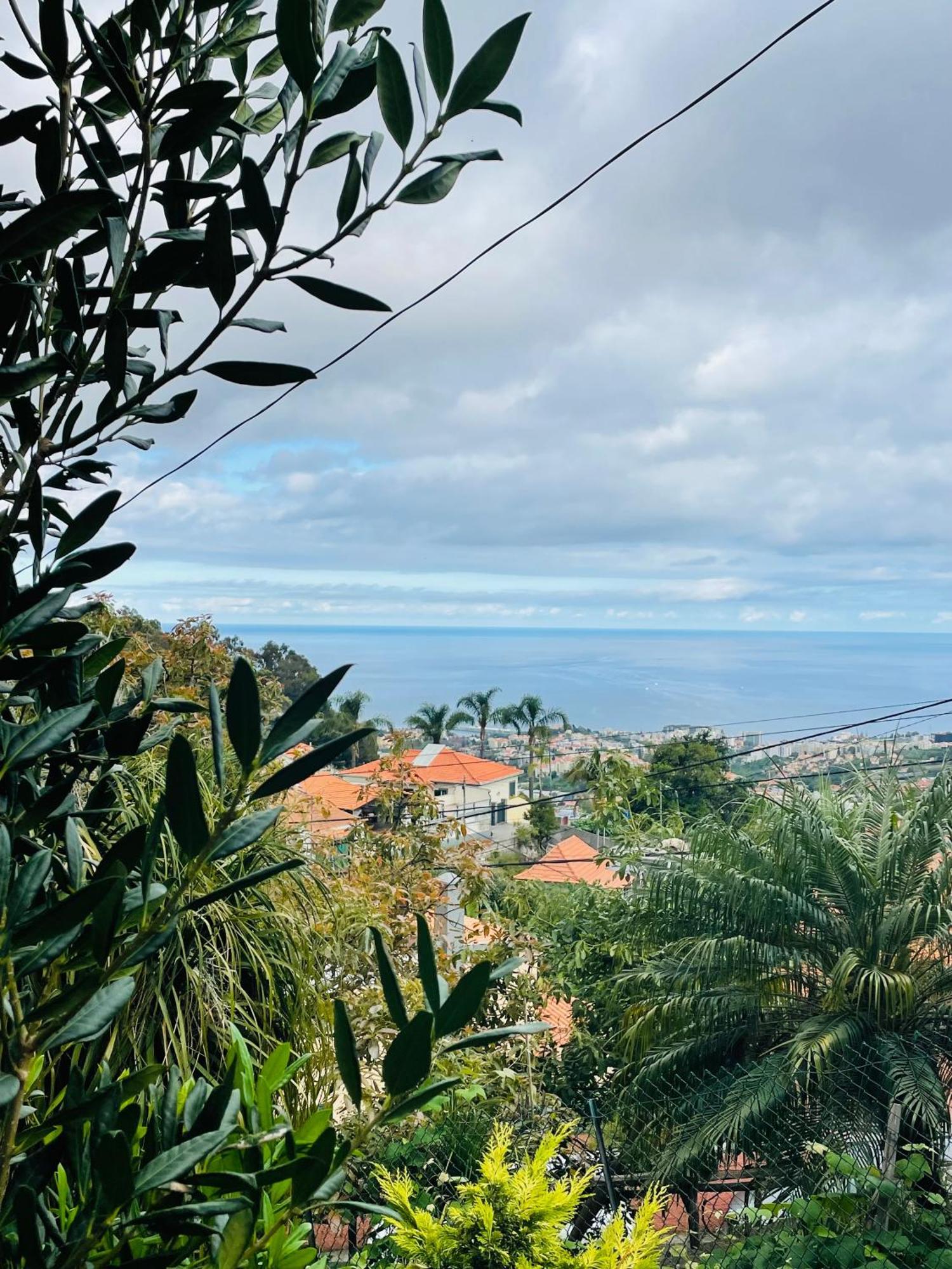 Hotel Cozy House Funchal  Zewnętrze zdjęcie